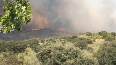 Los bomberos combaten un incendio a las puertas de Toledo