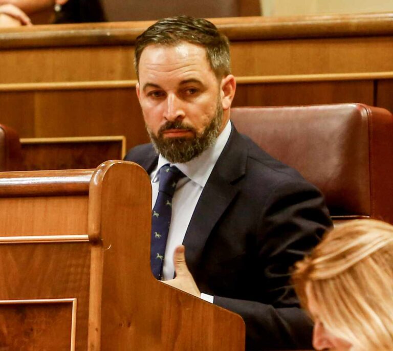 Abascal estudiará "todas las vías legales" si son excluidos de la Mesa del Congreso