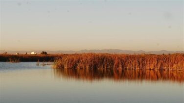 Fiscalía investiga el "alarmante" descenso de los niveles de agua en la Albufera