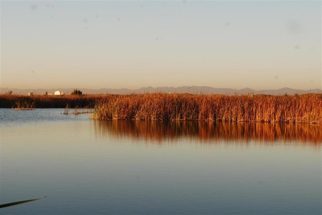Lago de la Albufera