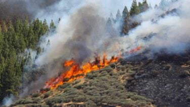 Prisión provisional para el presunto autor del incendio de Gran Canaria