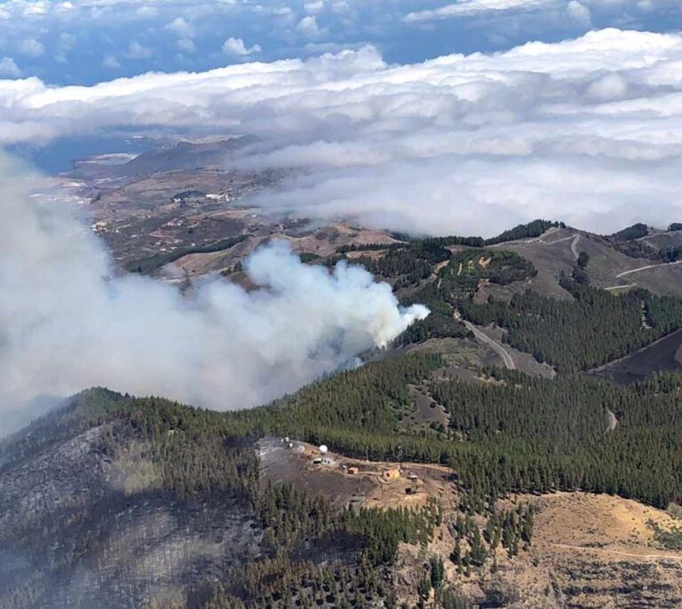 Logran contener el incendio de Gran Canaria pero se temen complicaciones por el viento