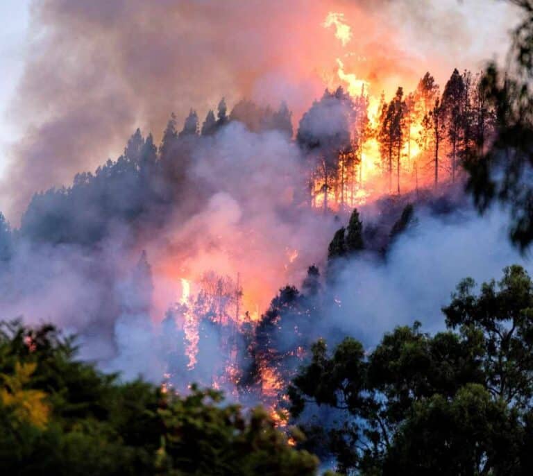 El fuego avanza sin control en Gran Canaria: los incendios ya han arrasado 1.700 hectáreas