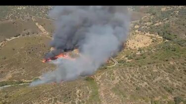 Evacuadas 40 personas por un incendio forestal en El Madroño (Sevilla)