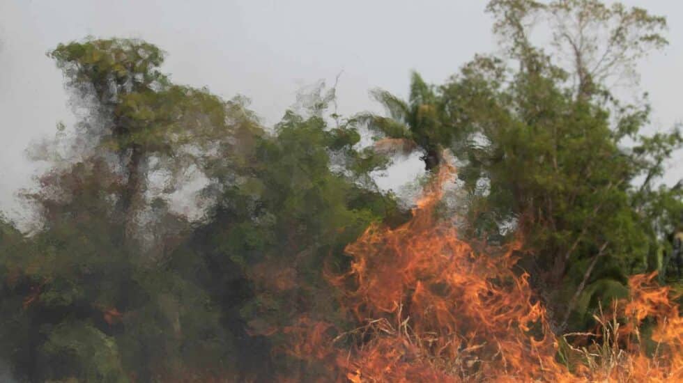 Incendios en el Amazonas.