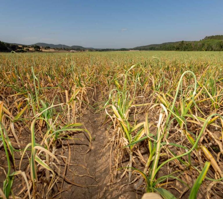 El PP exige al Gobierno fijar los precios agrícolas en origen por encima del coste de producción