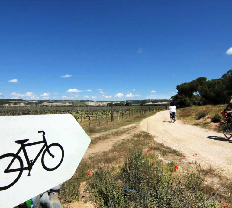Paseo en bici y picnic con vino en el Duero