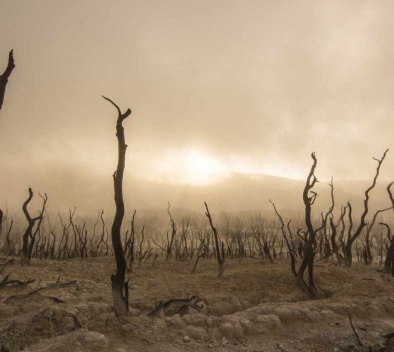 Cómo afecta el cambio climático a las inversiones