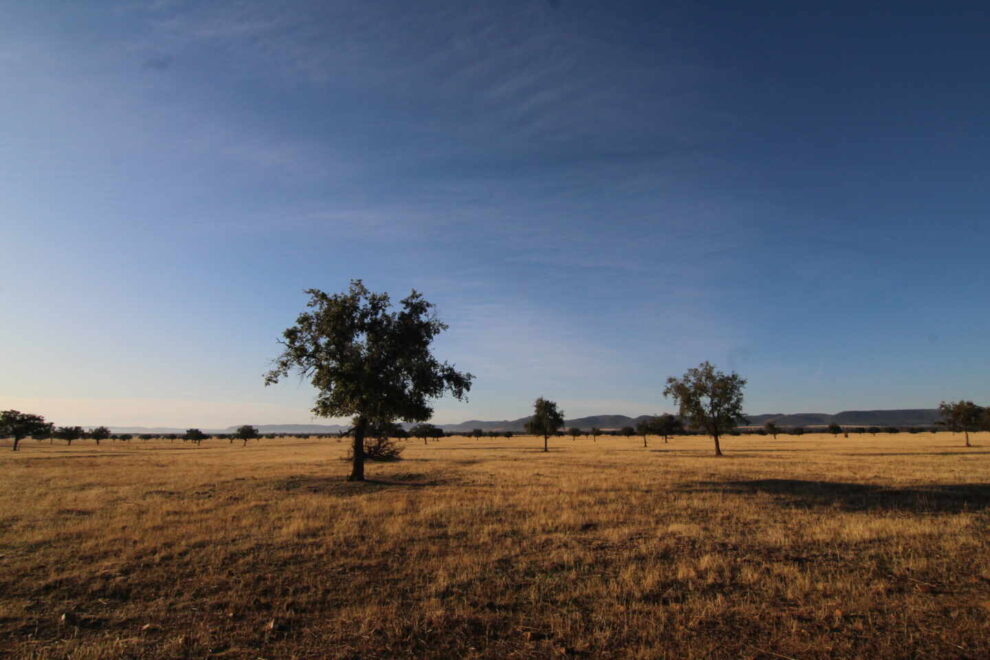 Parque Nacional de Cabañeros