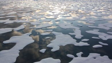 El Ártico puede quedar libre de hielo en verano en solo 25 años