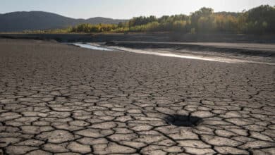 Las huellas de la sequía en España