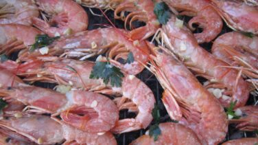 Qué es el cadmio y cuántas cabezas de gambas puedes chupar esta Navidad