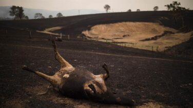 La pérdida de biodiversidad pone en riesgo entre 125 y 140 billones de dólares al año