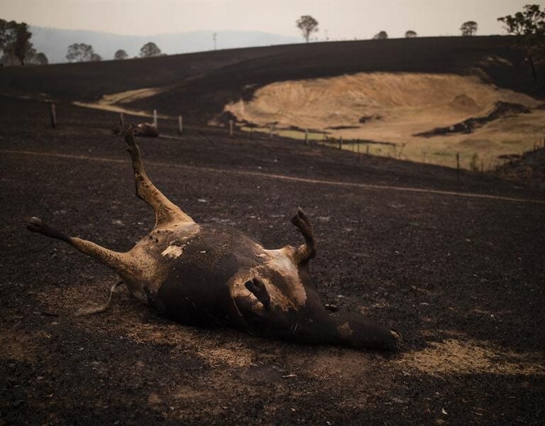 La pérdida de biodiversidad pone en riesgo entre 125 y 140 billones de dólares al año