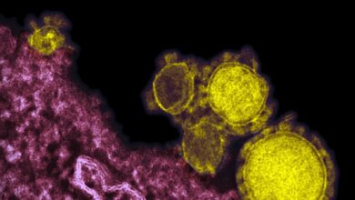 Los bulos de la epidemia: ni el pis de niño ni la cocaína te protegen del coronavirus