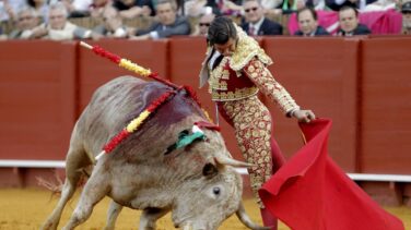 PACMA exige a Podemos que realice un referéndum sobre la tauromaquia
