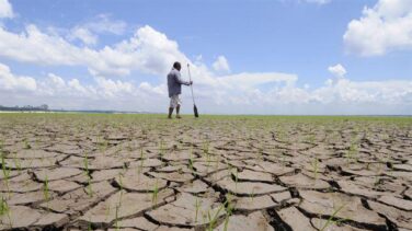 El cambio climático: el mayor desafío del futuro para el 82% de los ciudadanos, según el estudio ‘The Truth About Sustainability’ de McCann