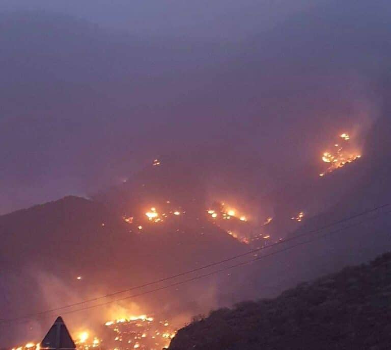 Canarias pide el apoyo de la UME para sofocar el incendio de Tasarte