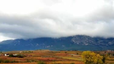 El tinto más caro no es un Rioja... y otras curiosidades del vino español