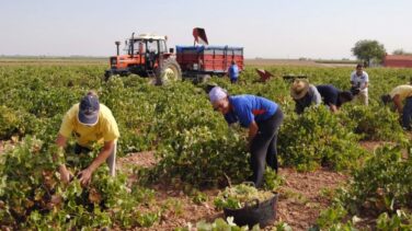 El Gobierno planea aprobar un decreto para incorporar a inmigrantes en el campo