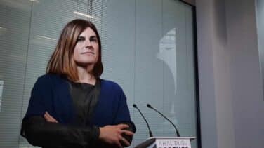 Podemos pide olvidar los "prejuicios" contra Bildu para levantar 'la casa de la izquierda vasca'