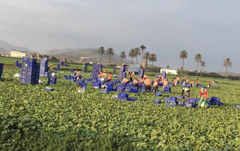 El Gobierno permitirá la actividad en los huertos a partir del sábado