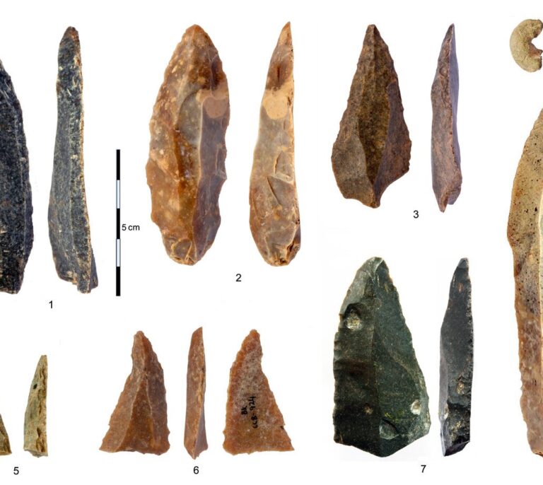 Nuevos fósiles de Homo Sapiens ilustran su primera dispersión por Eurasia