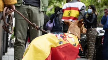 Fotogalería: el perro Barry y otras imágenes de la protesta del barrio de Salamanca