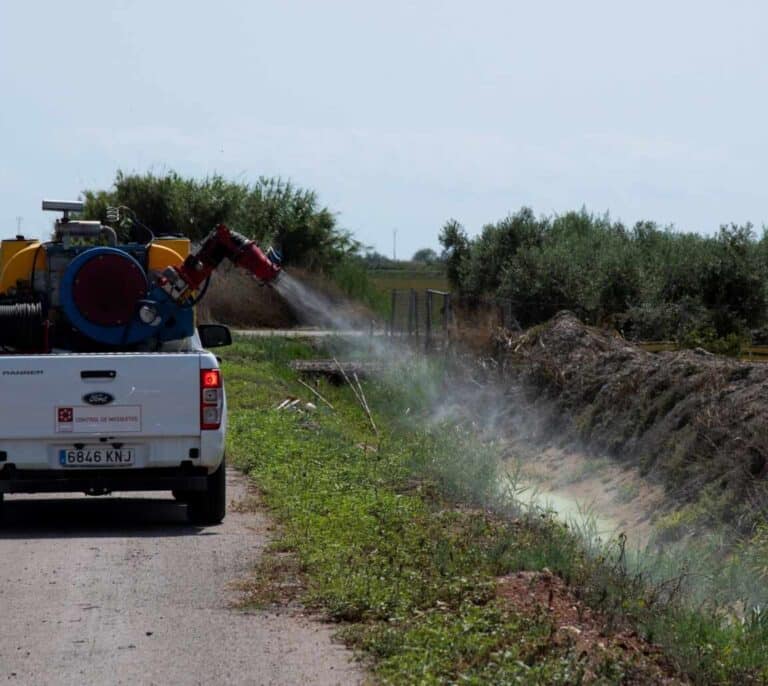 "España debe vigilar las migraciones de murciélagos, los mosquitos y el tráfico de especies"