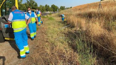 Hallan los cadáveres de una pareja en El Álamo tras acudir a una fiesta que derivó en reyerta