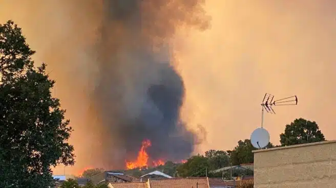 Tres incendios forestales, dos controlados, arrasan 850 hectáreas en Ourense