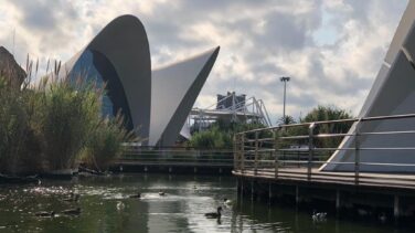 Un incendio obliga a cerrar el Oceanogràfic de Valencia