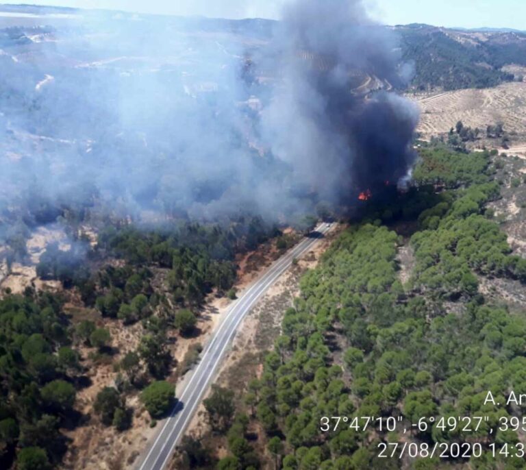 Más de cien efectivos y 19 aeronaves luchan contra el incendio de Almonaster la Real (Huelva)