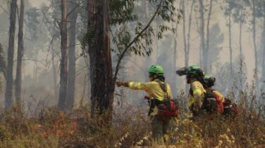 Infoca da por estabilizado el incendio de Almonaster la Real (Huelva)