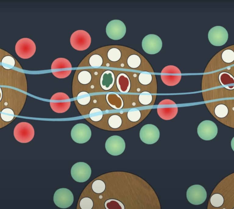 Cinco vídeos explicativos para entender mejor el coronavirus