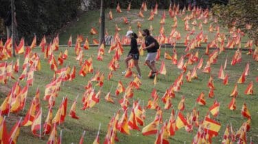 53.000 banderas de España junto al Guadalquivir por las víctimas del coronavirus