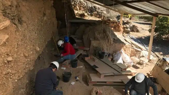 Hallan los restos de un leopardo de 24.000 años en una cueva de Tarragona