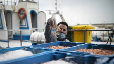 Los pescadores estallan ante el “preocupante" acuerdo del Brexit: "Es un día negro para el sector"