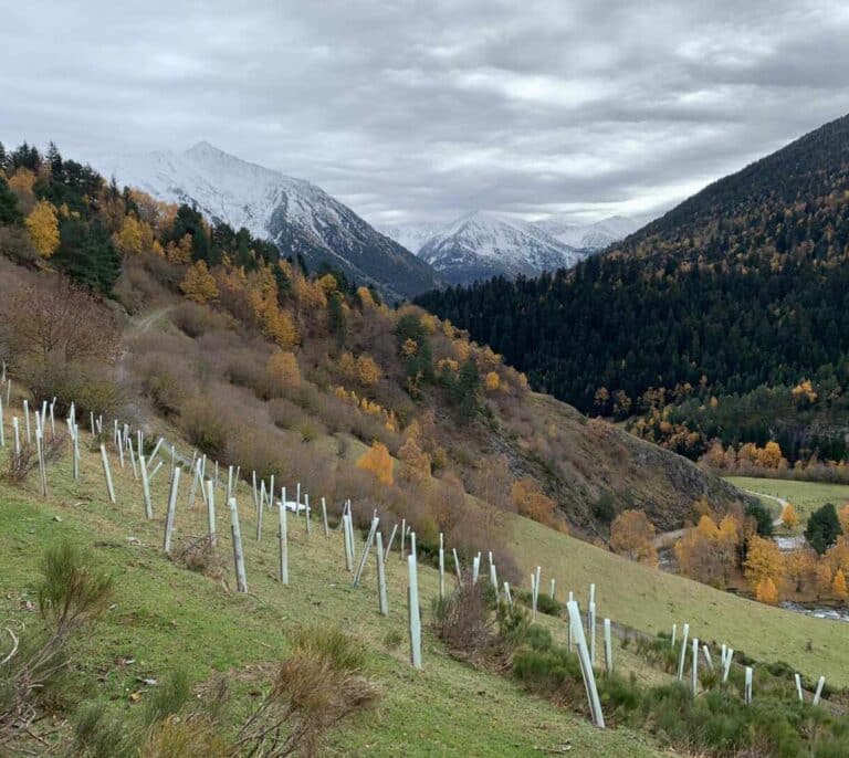 Un terremoto de 3,6 grados sacude el Pirineo leridano sin causar daños