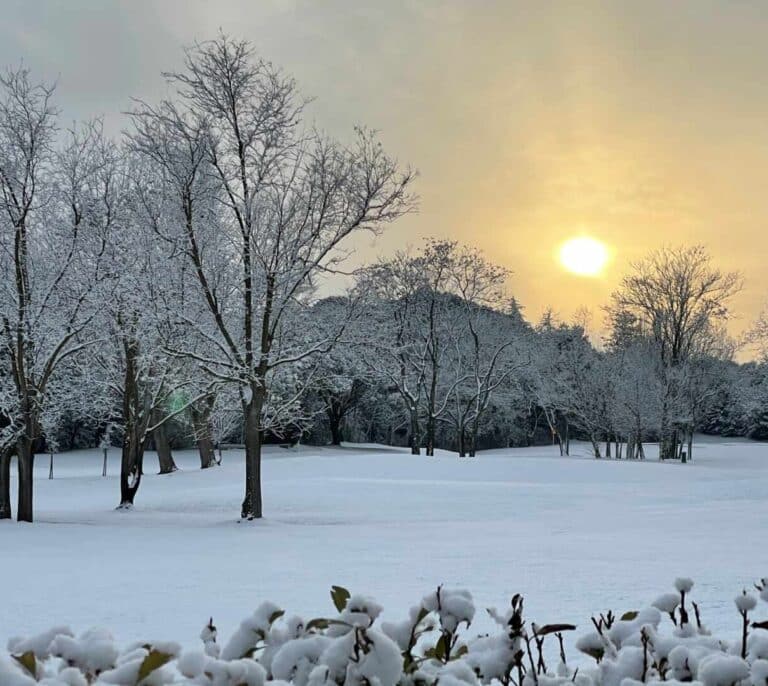 Cómo recuperar un campo de golf tras una nevada