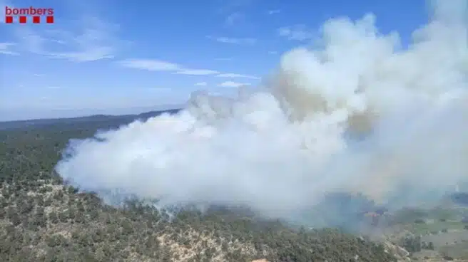 Un incendio forestal en  Tarragona pone en alerta a 30 dotaciones de Bomberos