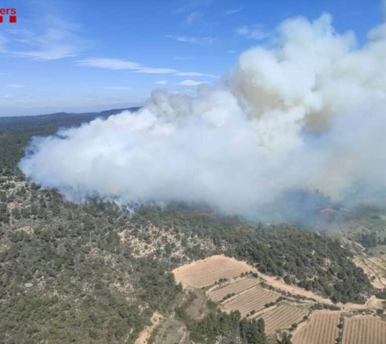 Un incendio forestal en  Tarragona pone en alerta a 30 dotaciones de Bomberos