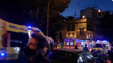Seis heridos tras caer una gran rama del ficus centenario de Sevilla