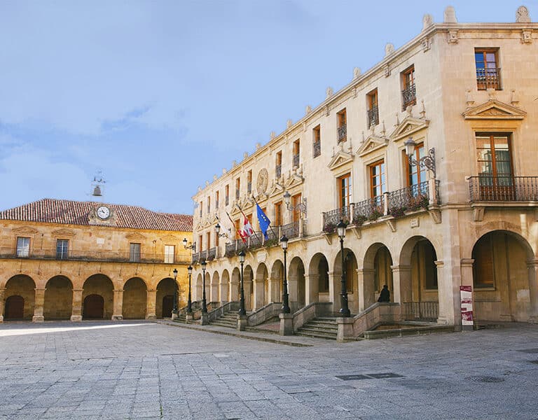 Soria se convierte en la provincia con más incidencia de Covid con un 80% de variante británica