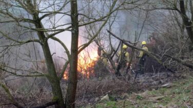 Asturias, en situación de emergencia por la proliferación de incendios forestales