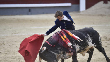 El Congreso insta a que vuelvan los toros a TVE a iniciativa del PP y gracias a la abstención del PSOE