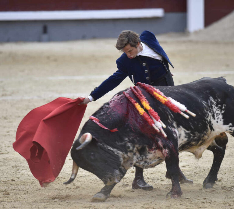 El Congreso insta a que vuelvan los toros a TVE a iniciativa del PP y gracias a la abstención del PSOE