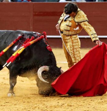 Los toros triunfan en televisión en pleno debate sobre su regreso a [...]