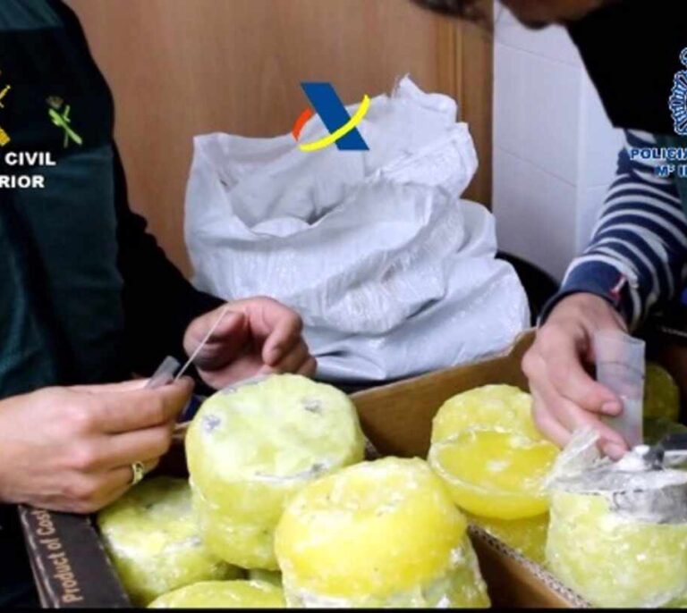 Desarticulan una organización que introducía cocaína en España dentro de piñas "preñadas"
