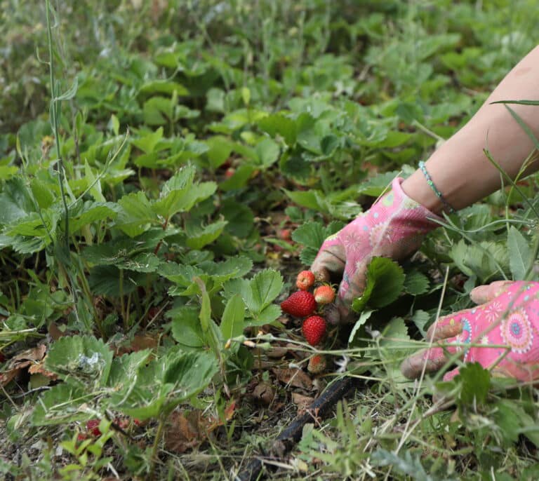 La reforma de los contratos temporales golpeará sobre todo a la agricultura, pesca y construcción